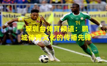 深圳台体育频道：鹏城体育文化的传播先锋