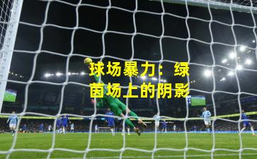 球场暴力：绿茵场上的阴影