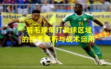 羽毛球单打发球区域的技术解析与战术运用