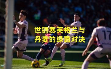 世锦赛英格兰与丹麦的绿茵对决