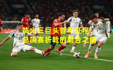 热火三巨头首年征程:总决赛折戟的磨合之痛